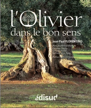 L'olivier dans le bon sens