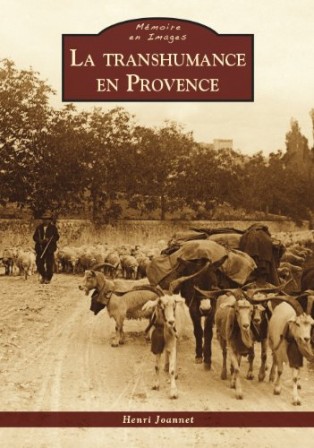 transhumance en Provnece