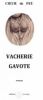 Sous le nom de Coeur de Feu, l'auteur a présenté son livre : Vacherie gavote.